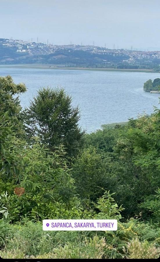 Sapanca Manzara Villa 1 Isitma Havuzlu Luaran gambar